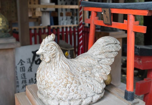 201212111519-DSC09120N.jpg