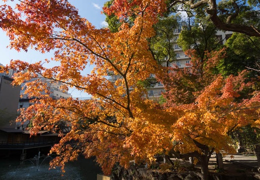 201212120951-DSC09215.jpg