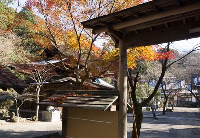 201212141137-DSC09398N.jpg