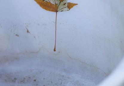 201212141137-DSC09952.jpg