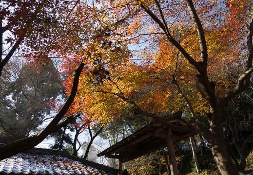 201212141144-DSC09993.jpg