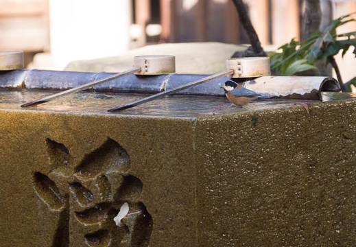 201212141214-DSC00056.jpg