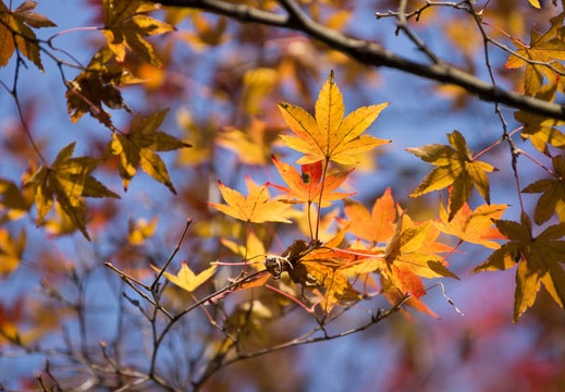 201212141223-DSC00071.jpg