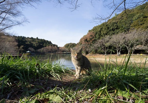 201212141241-DSC09431N.jpg