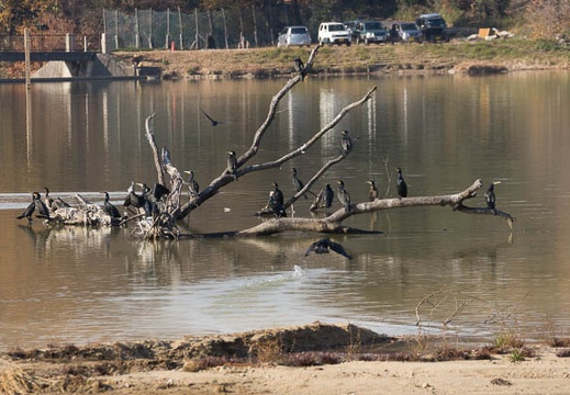 201212141342-DSC00122.jpg