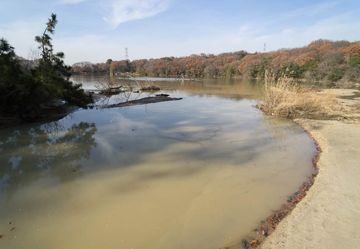 201212141345-DSC09471N.jpg