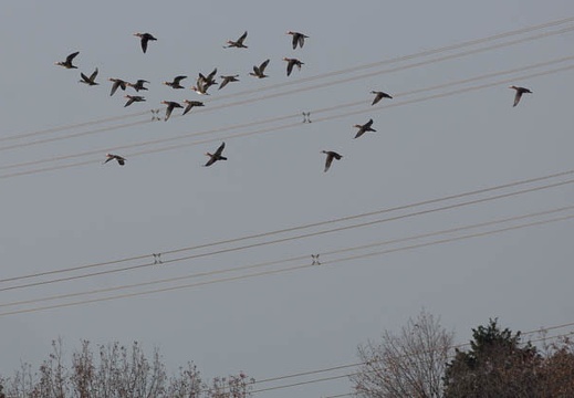 201212141346-DSC00128.jpg
