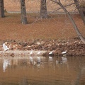 201212141451-DSC00201.jpg