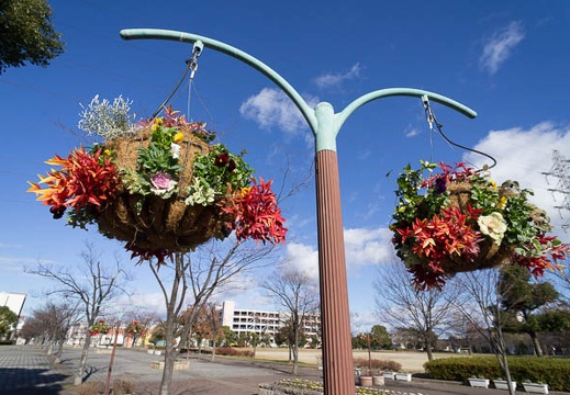 201212261032-DSC09533N.jpg