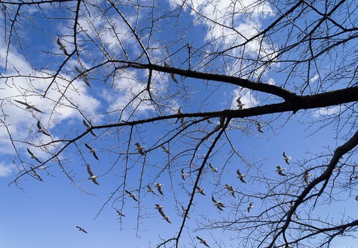 201212261110-DSC09564N.jpg
