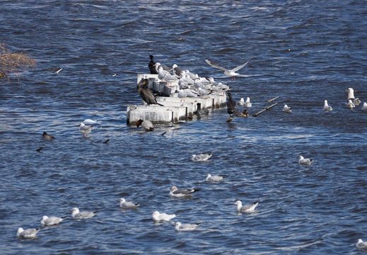 201212261116-DSC00304.jpg