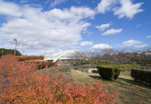 12.26 荒子川公園