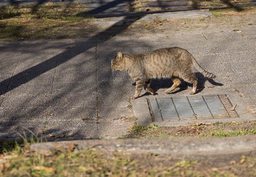 201212261314-DSC00312.jpg