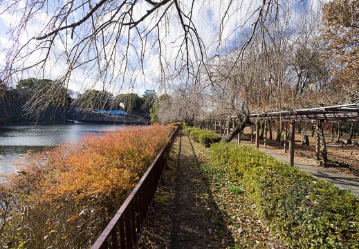 201212261317-DSC09585N.jpg