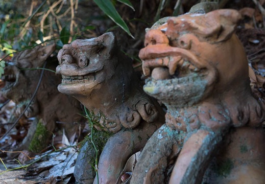 201301041128-DSC00624.jpg