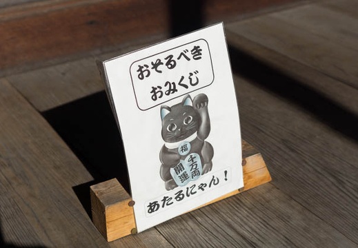 201301041216-DSC00689.jpg
