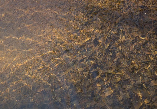 201301071249-DSC00856.jpg