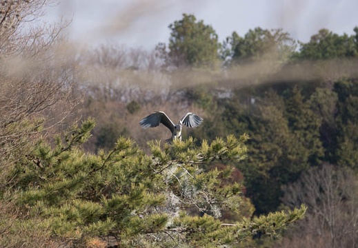 201301071259-DSC00859.jpg