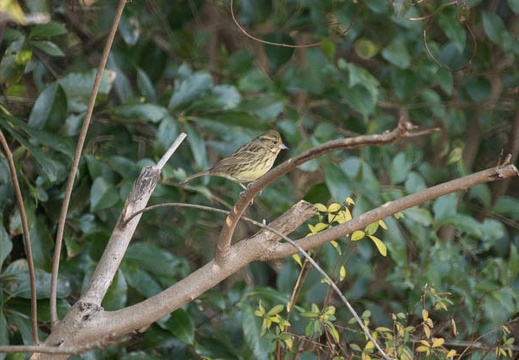 201301071304-DSC00882.jpg