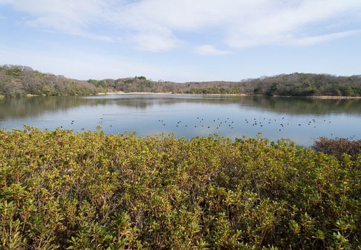 201301071310-DSC09903N.jpg