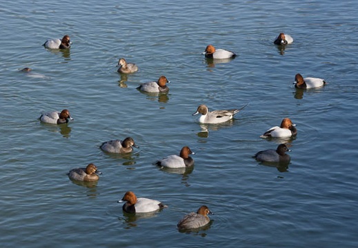 201301071322-DSC00932.jpg