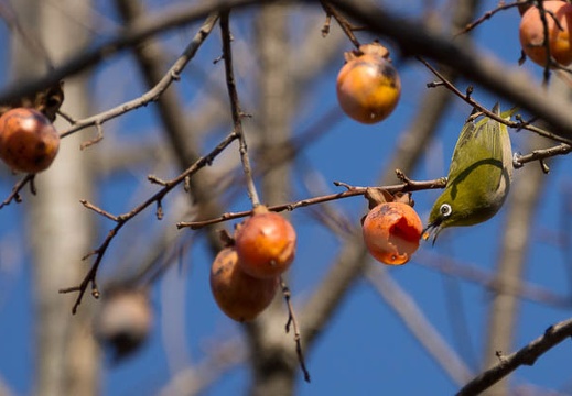 201301071423-DSC01148.jpg
