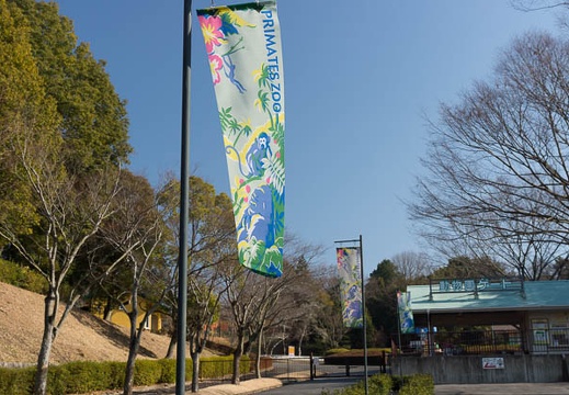 201301081108-DSC01267.jpg