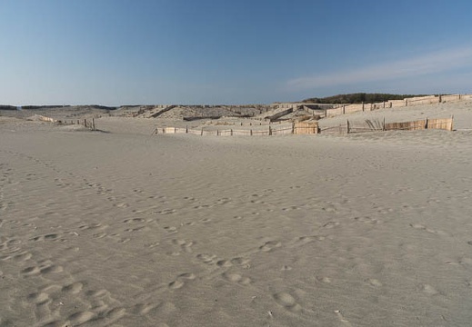 201301091032-DSC01814.jpg