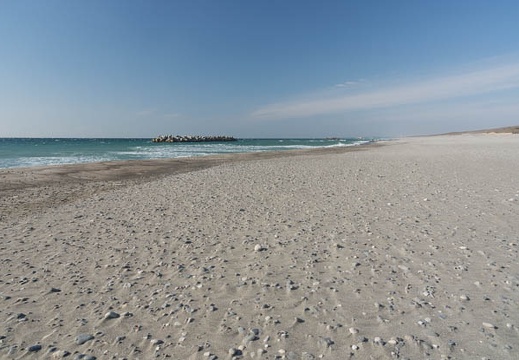 201301091036-DSC01821.jpg