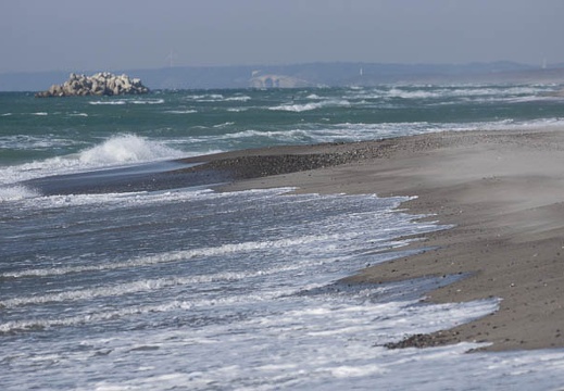 201301091048-DSC01872.jpg