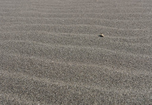201301091052-DSC01880.jpg