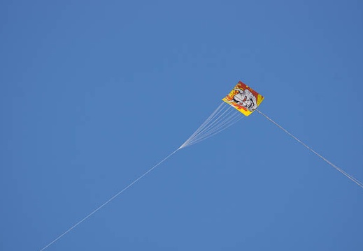201301091229-DSC01985.jpg