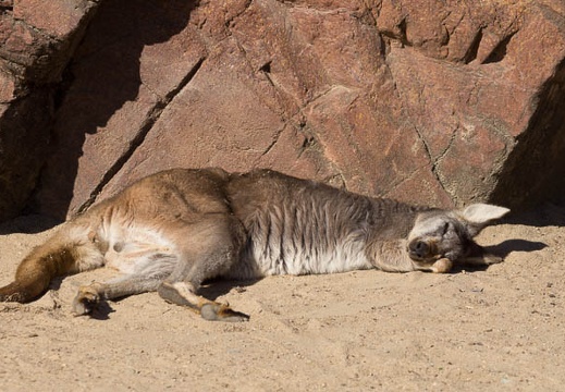 201301111128-DSC02316.jpg