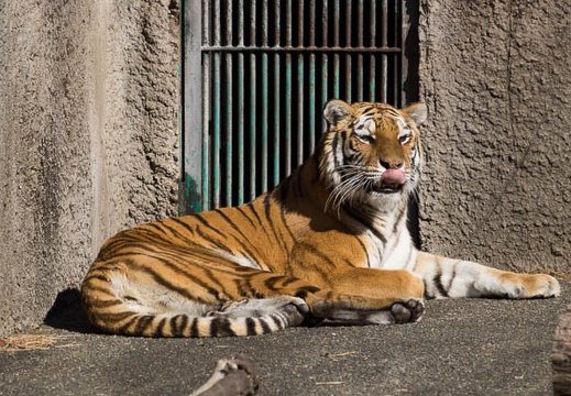 201301111157-DSC02405.jpg