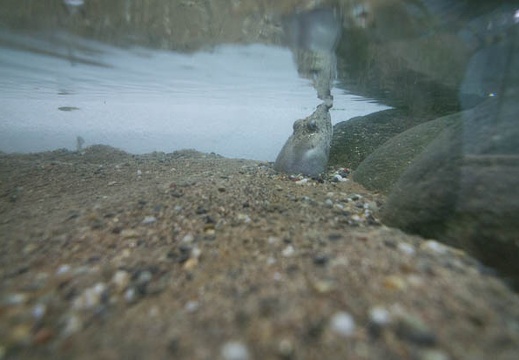 201301111242-DSC00249N.jpg
