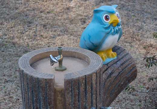 201301111322-DSC02646.jpg