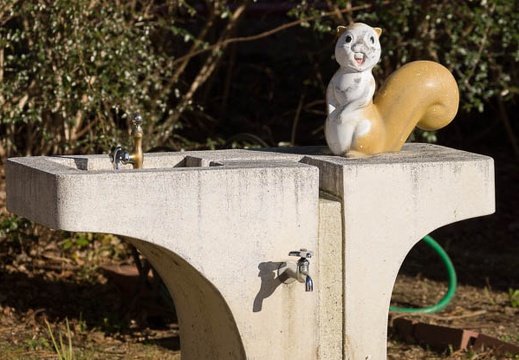 201301111440-DSC02763.jpg