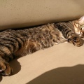 20130116114848-SO-04D.jpg