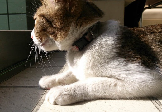 20130116120618-SO-04D.jpg