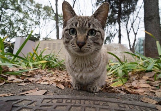 201301231455-DSC00490N.jpg