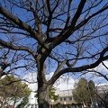 201301251251-DSC00536N.jpg