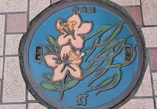 201302021012-DSC00490N.jpg