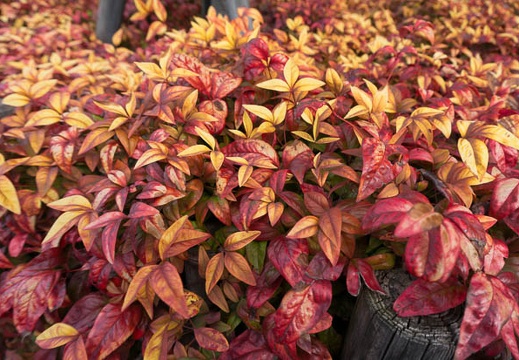 201302101308-DSC00713N.jpg