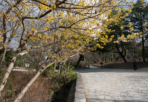 201302101406-DSC00761N.jpg