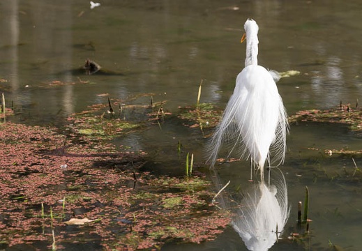 201302101426-DSC05011.jpg
