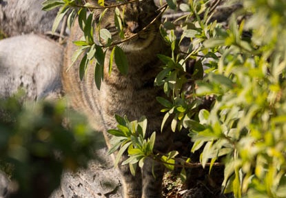 201302101444-DSC05046.jpg