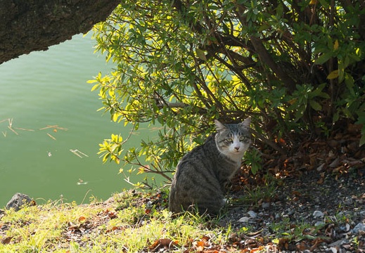 201302101445-DSC00777N.jpg