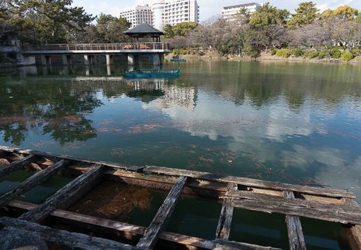 201302101450-DSC00782N.jpg