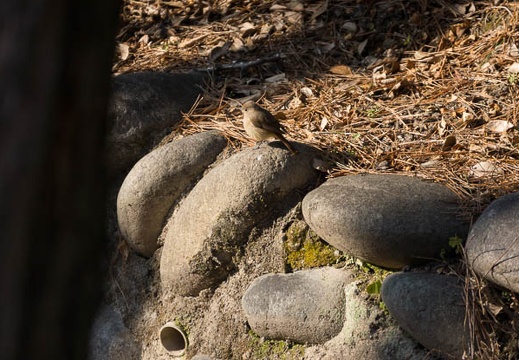 201302101455-DSC05061.jpg