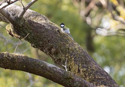 201302101501-DSC05072.jpg